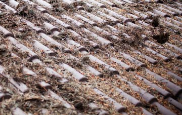 Staden roof cleaning companies