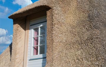 Staden thatch roof disadvantages